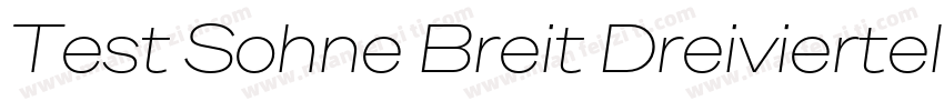 Test Sohne Breit Dreiviertelfett字体转换